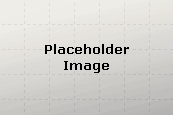 a_PlaceHolder_8